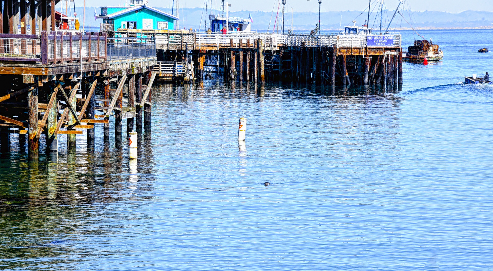 fishing marina monterey free photo