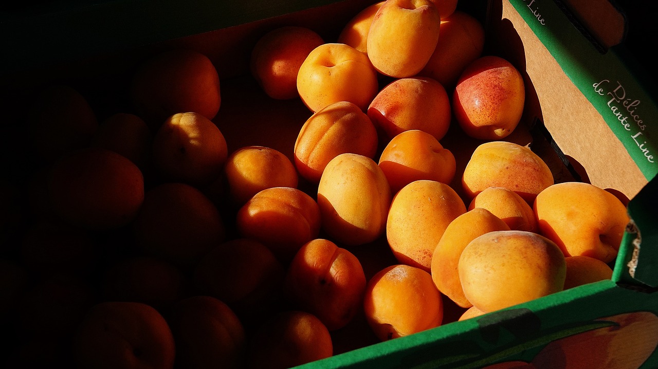 fit healthy apricots free photo