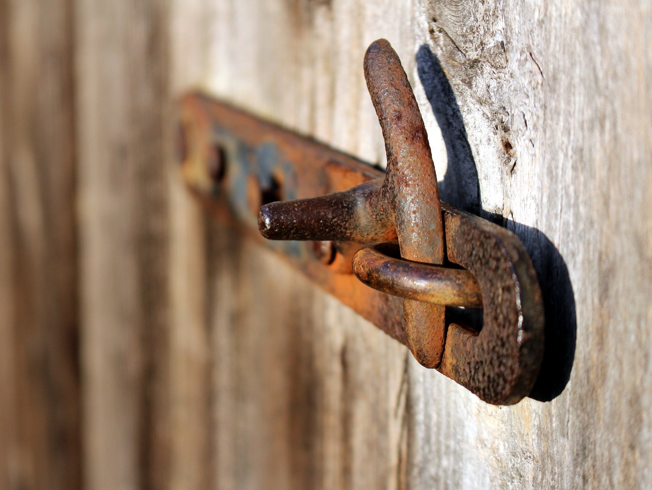 fitting wooden door old free photo