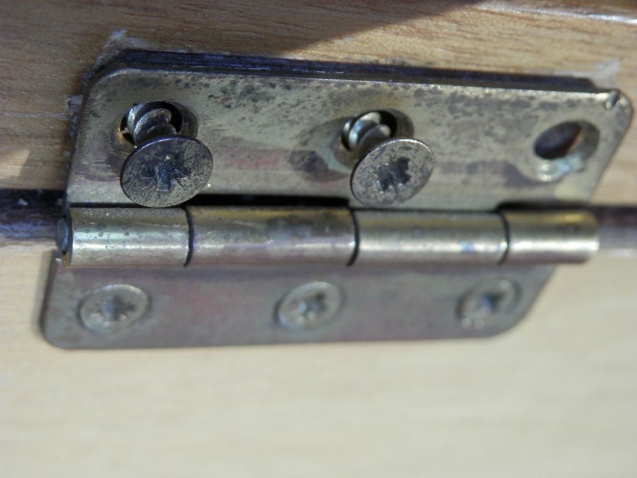 fitting screw hinge free photo