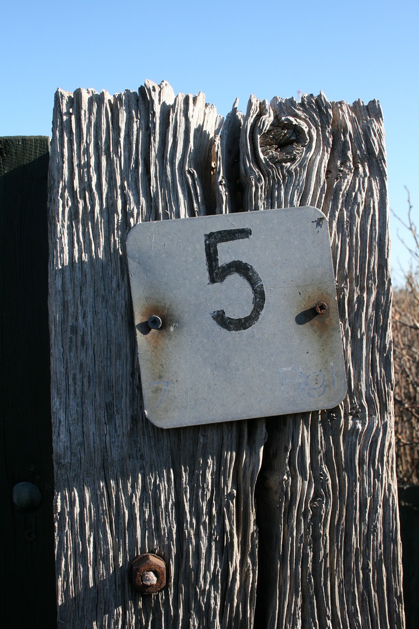 five 5 number free photo