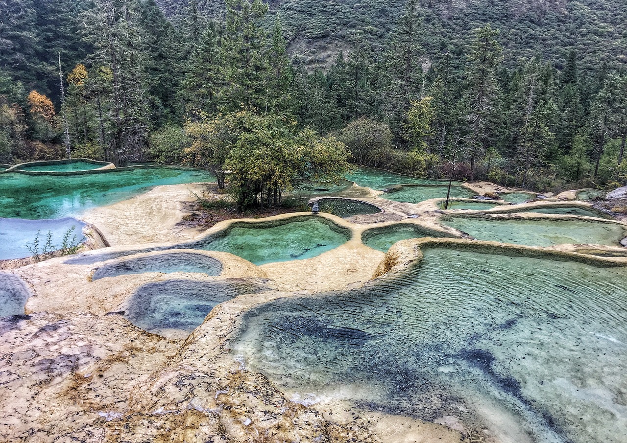 five color pool the yellow dragon october free photo