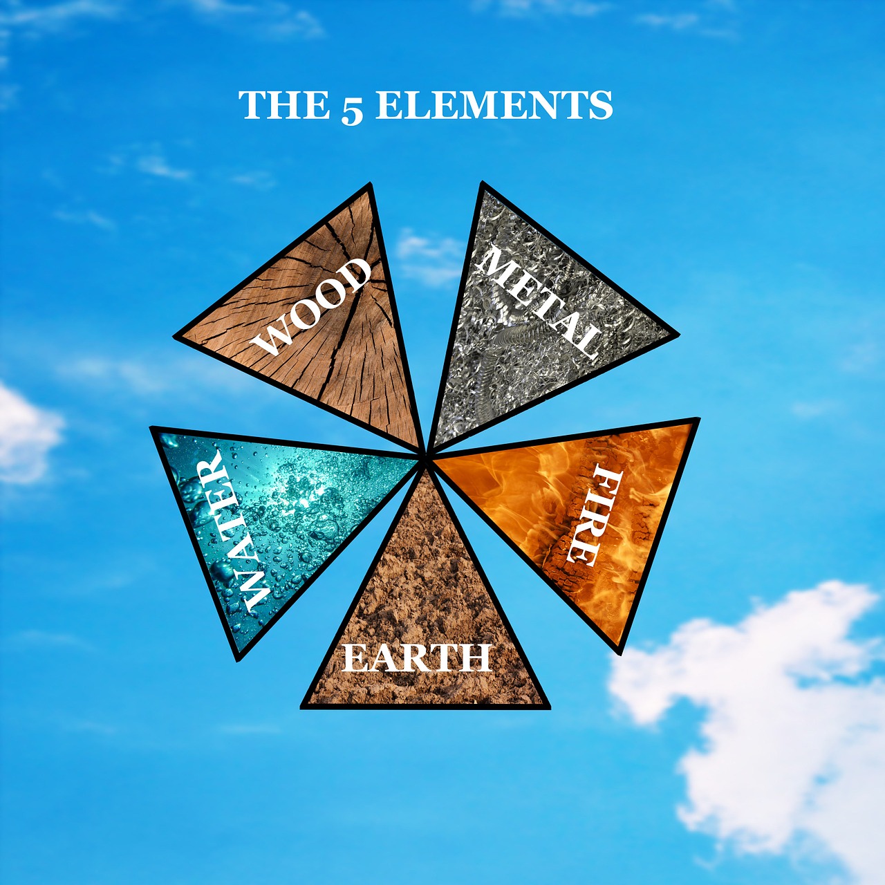 five elements wood water free photo