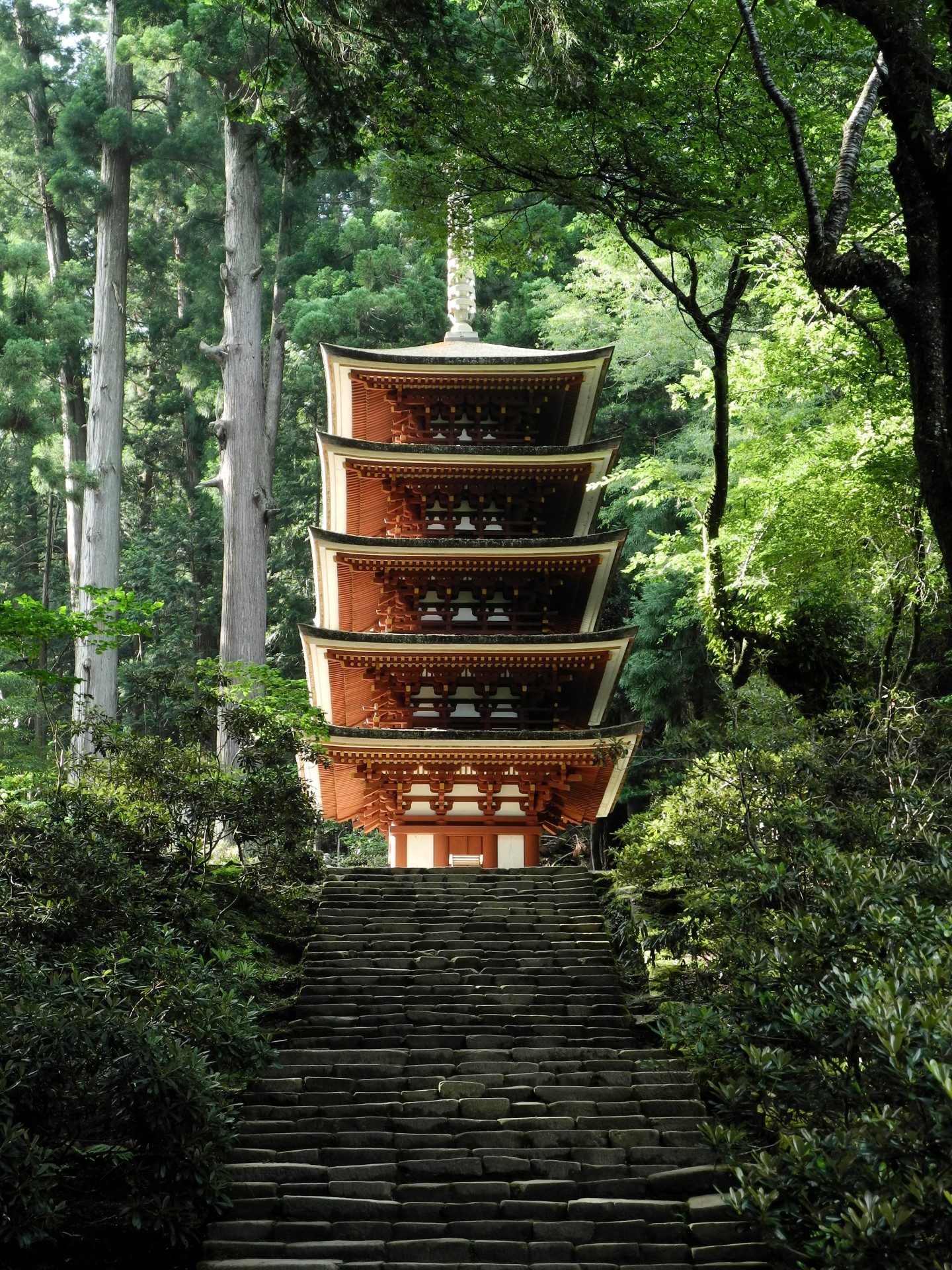 five-story pagoda wood murooji free photo