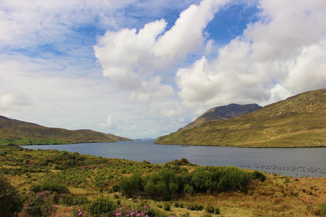 fjord water clouds free photo