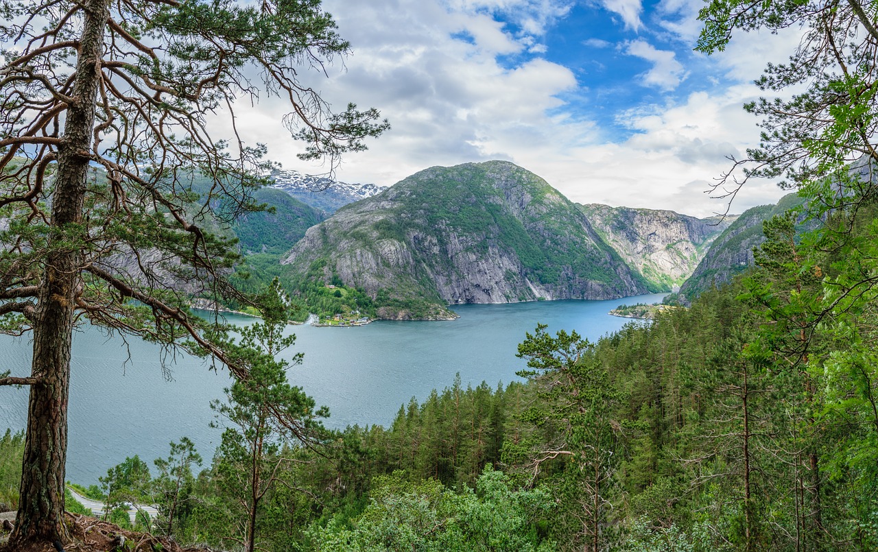 fjord landscape norway free photo