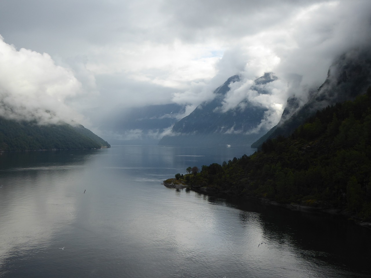 fjord norway water free photo