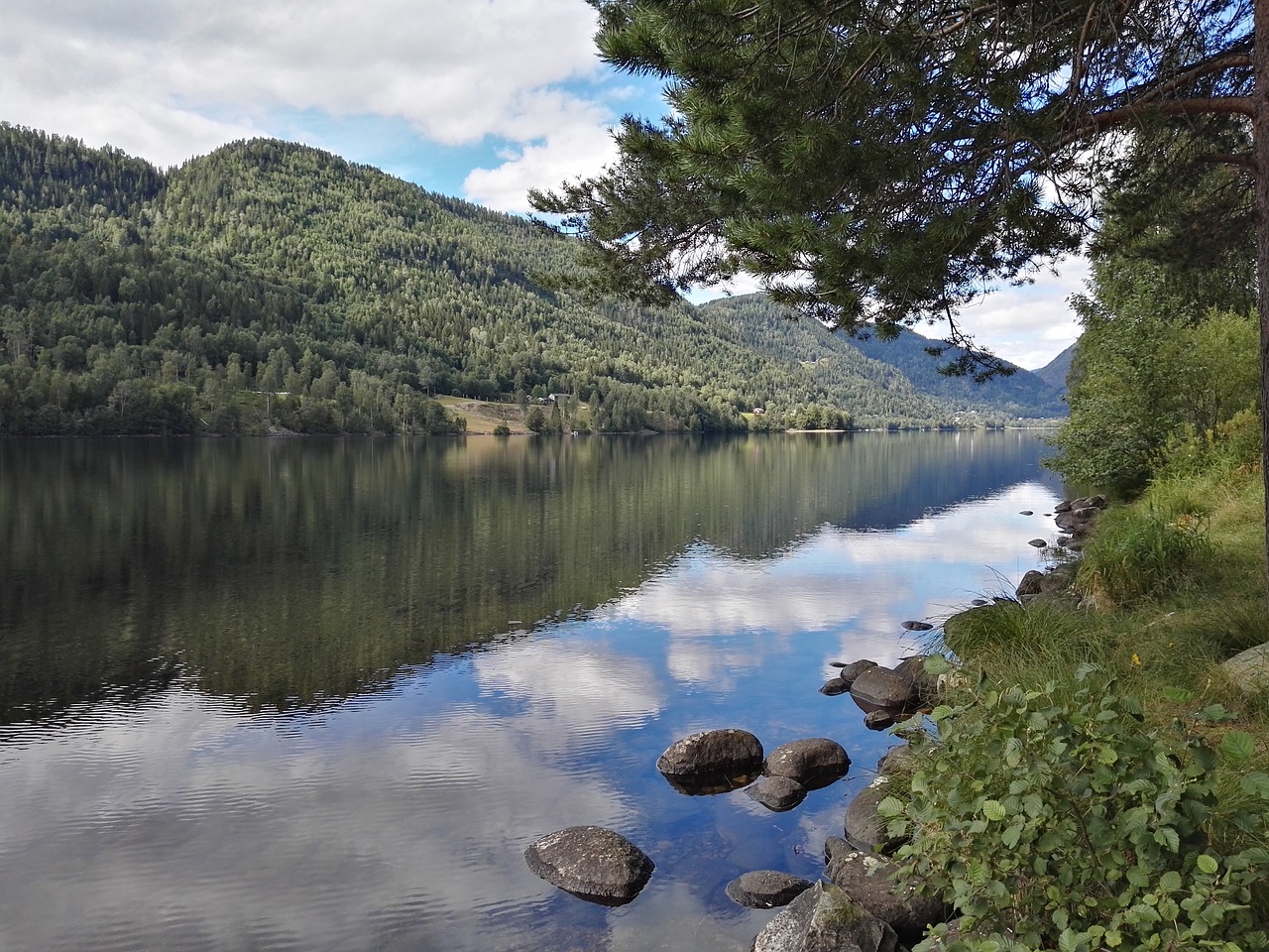 fjord lake water free photo