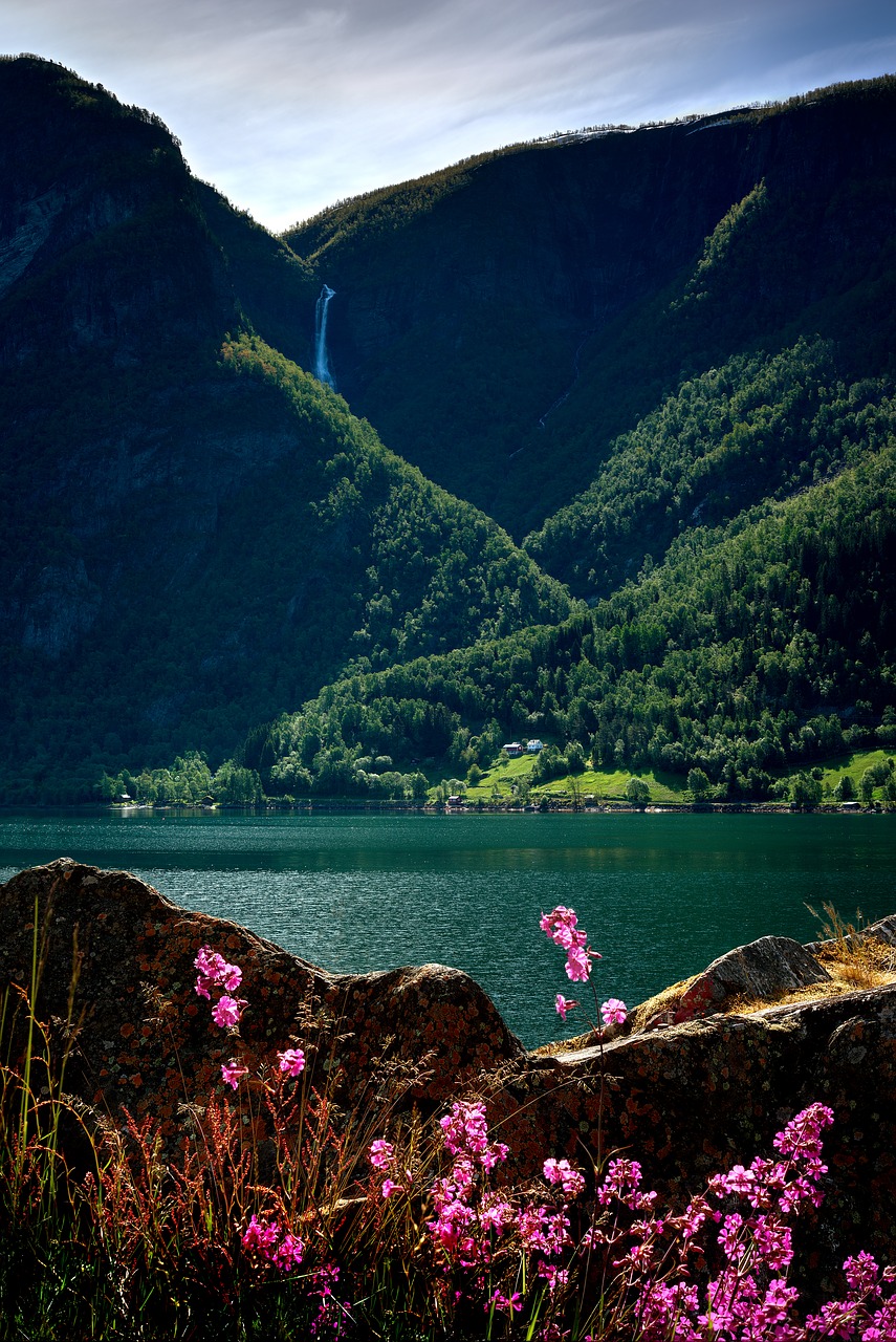 fjord  mountain  nature free photo