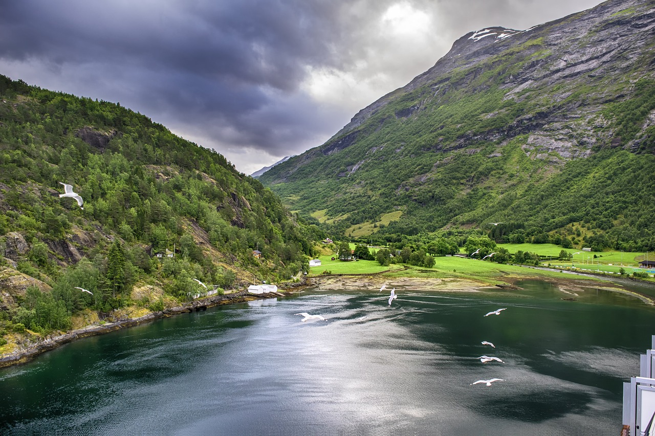 fjord  birds  norway free photo