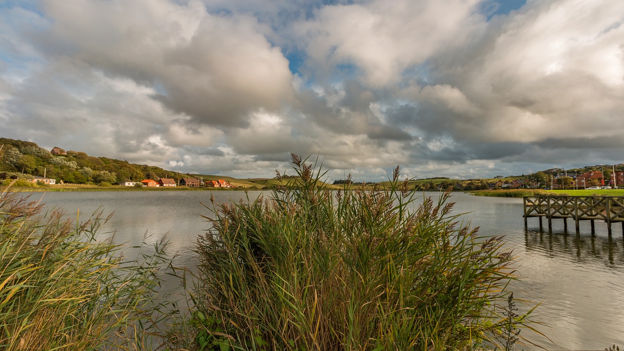 fjord  denmark  lake free photo