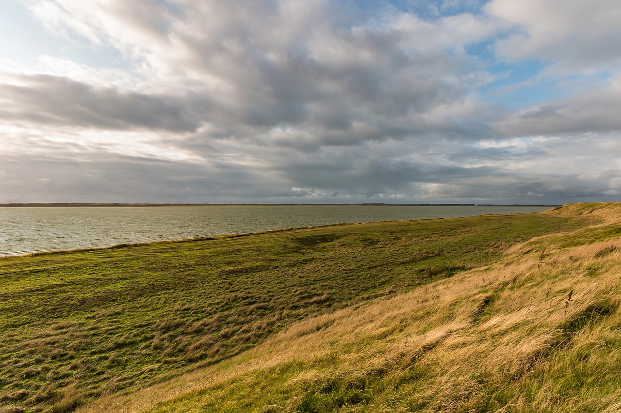 fjord  denmark  lake free photo