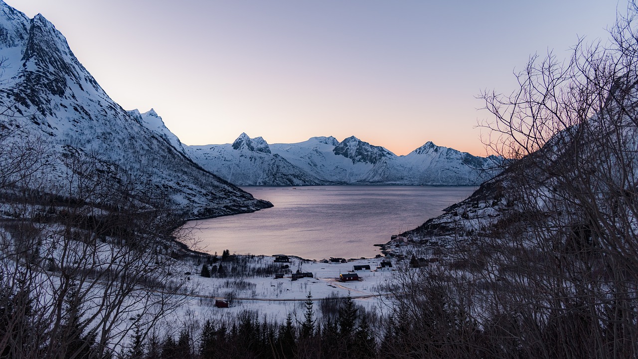 fjord  fjords  landscapes free photo