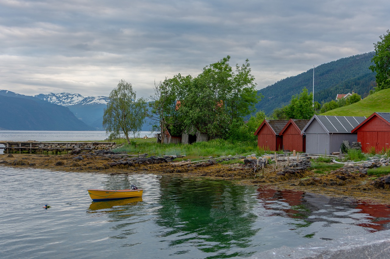 fjord  air  clouds free photo