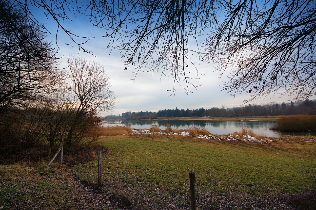 flachsee nature conservation nature free photo