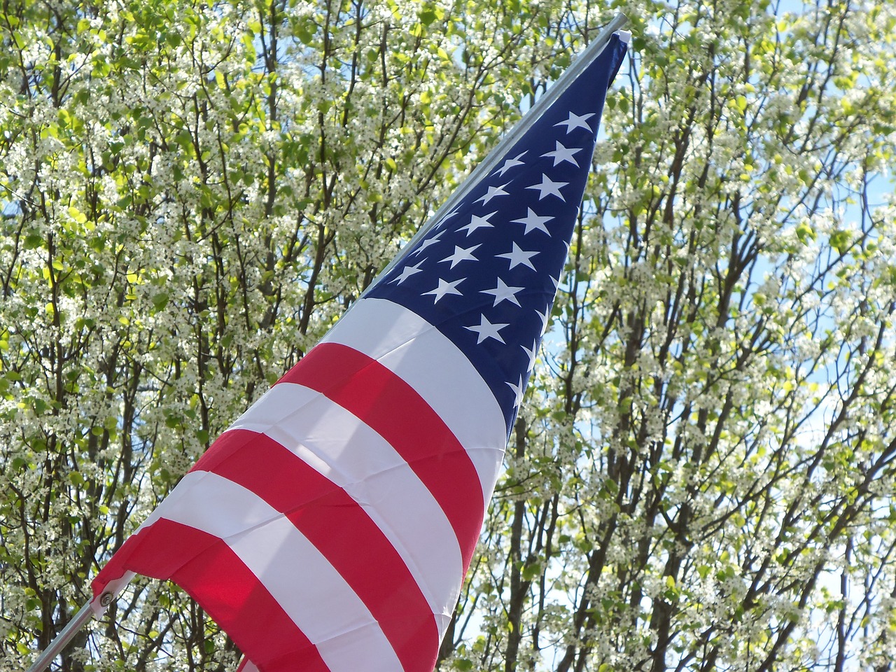 flag american wing free photo