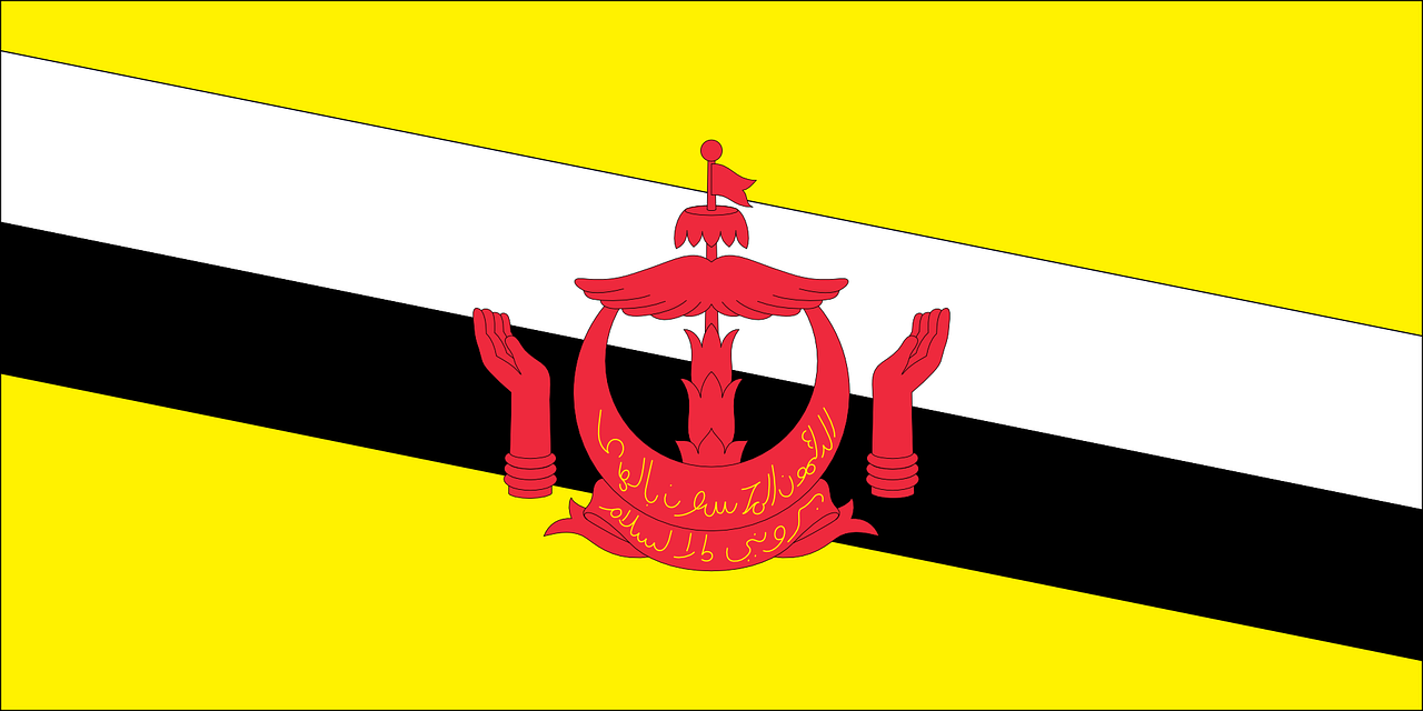 flag country brunei free photo