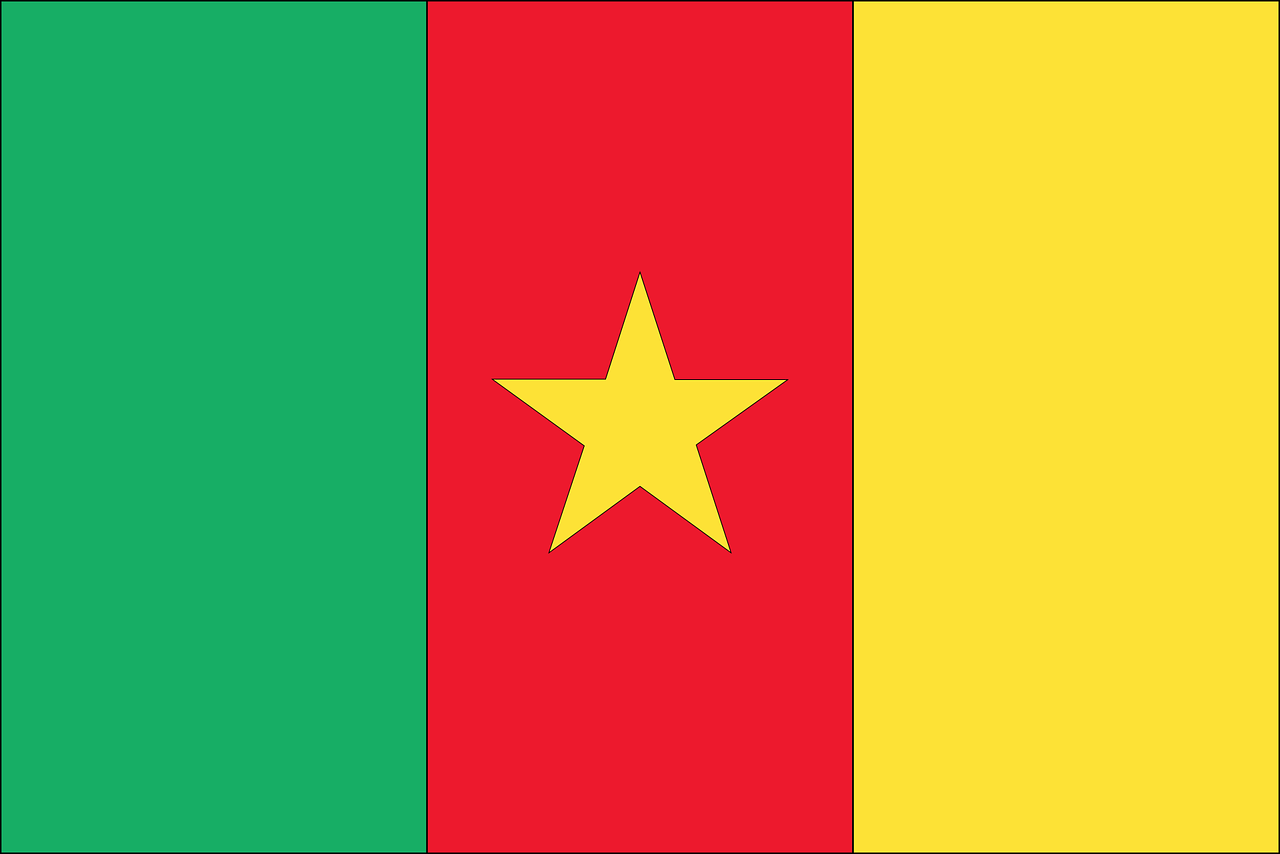 flag country cameroon free photo