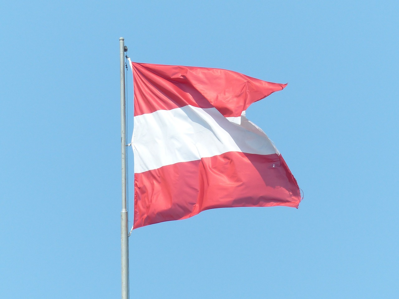 flag austria red free photo