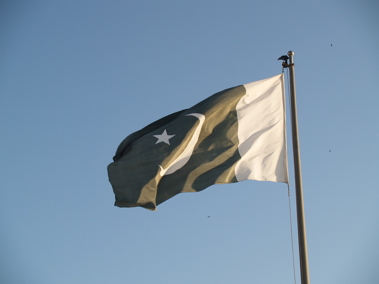 flag of pakistan free photo