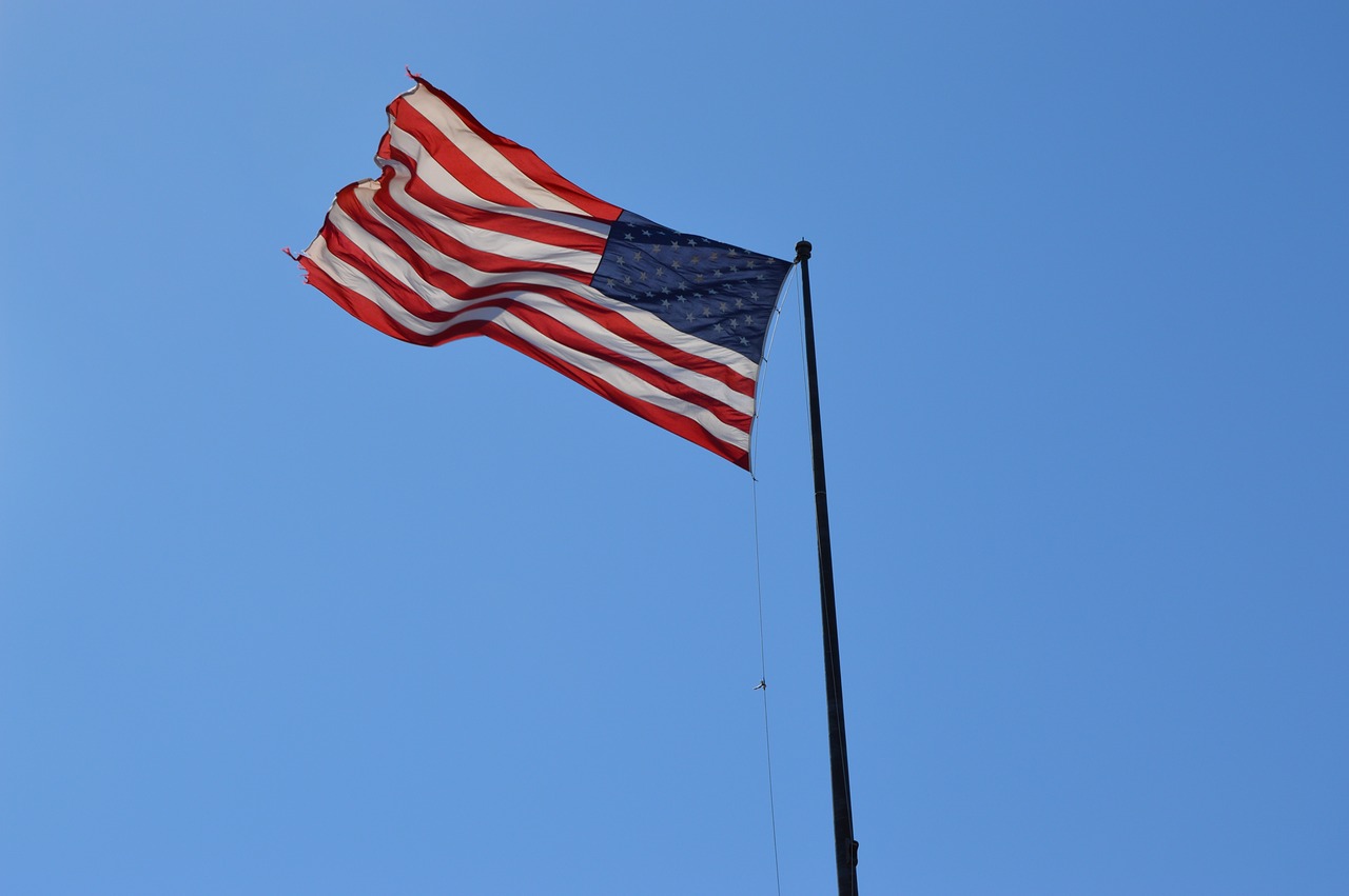 flag usa states free photo