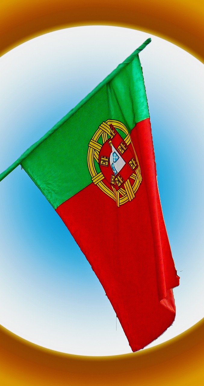 flag portugal sport free photo