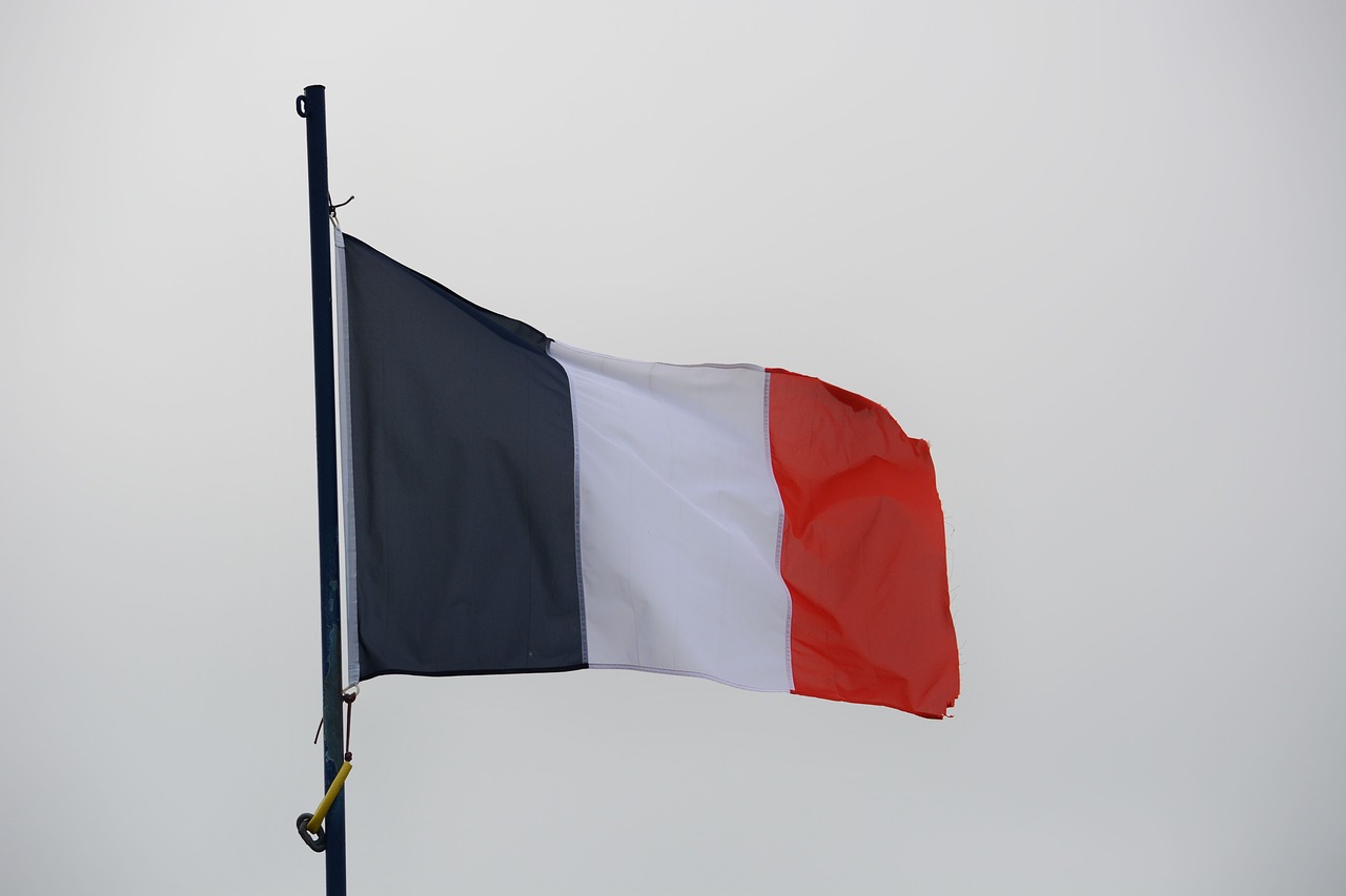 flag french flag national free photo