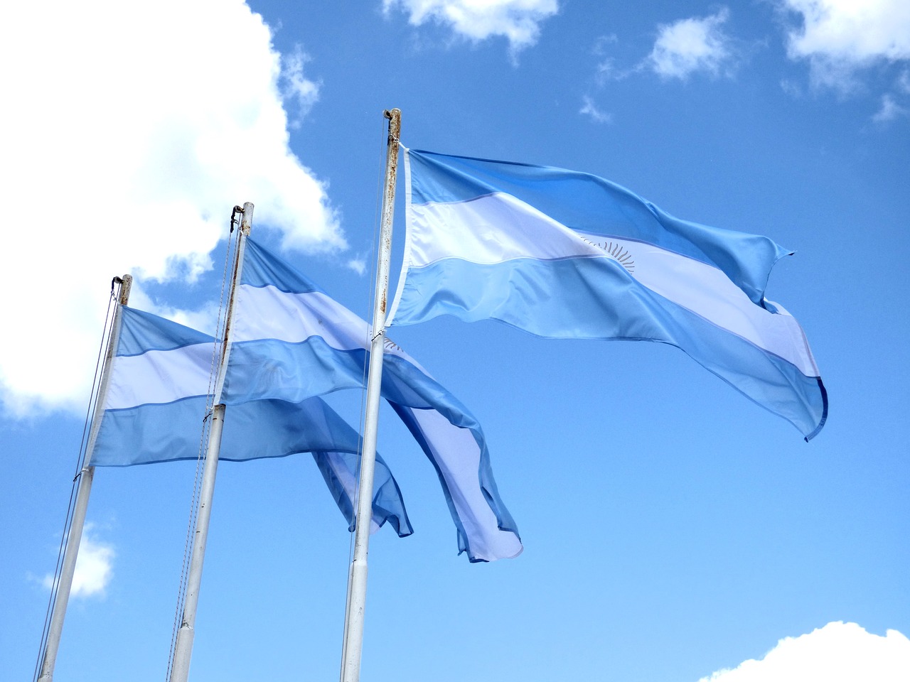 flag argentina national flag free photo