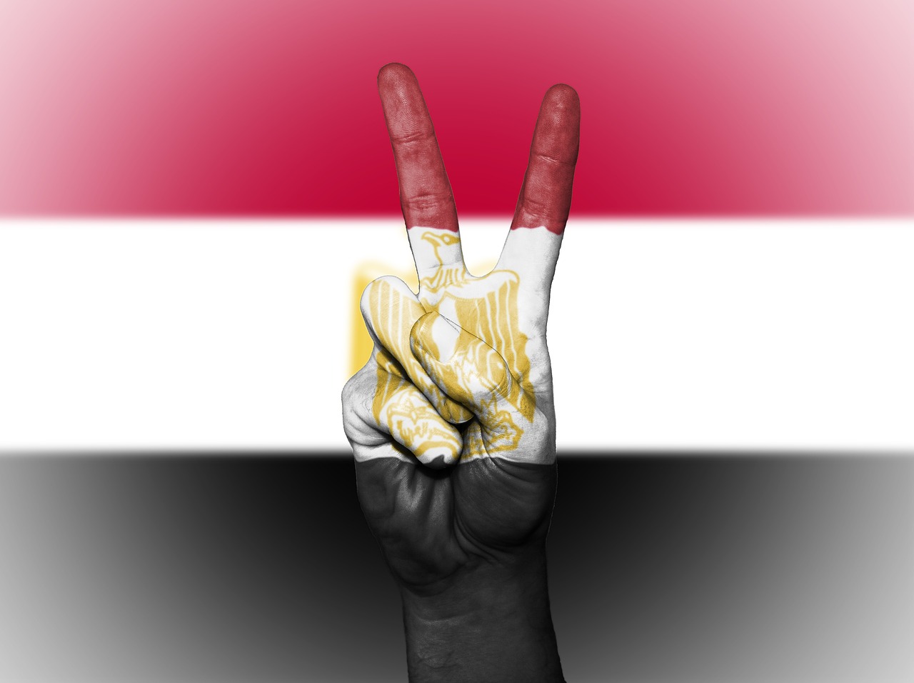 flag peace egypt free photo