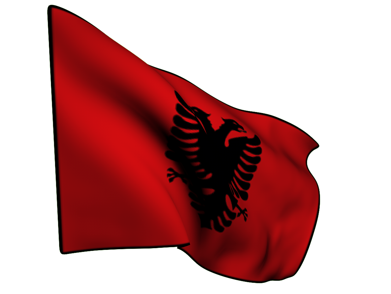 flag albania aguila free photo