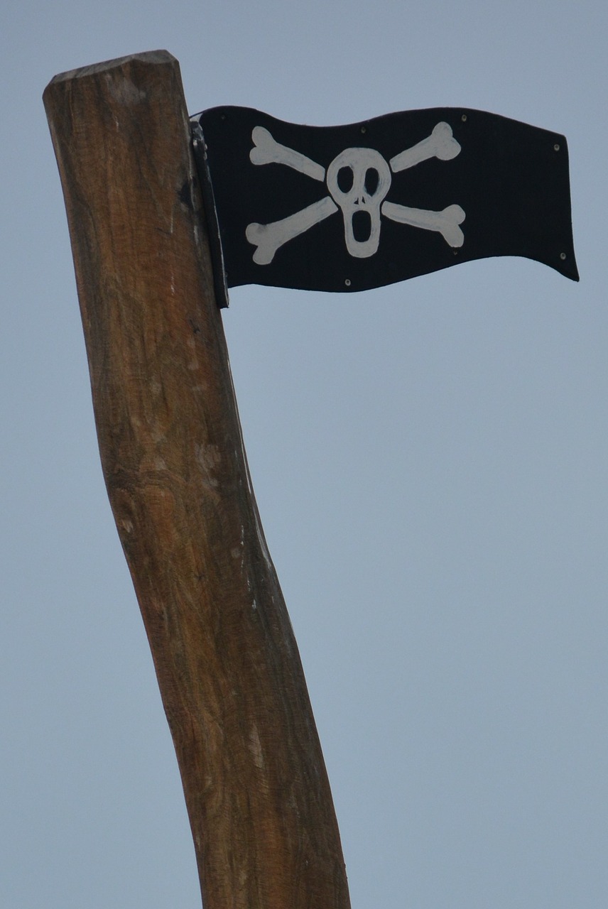 flag pirate skull free photo