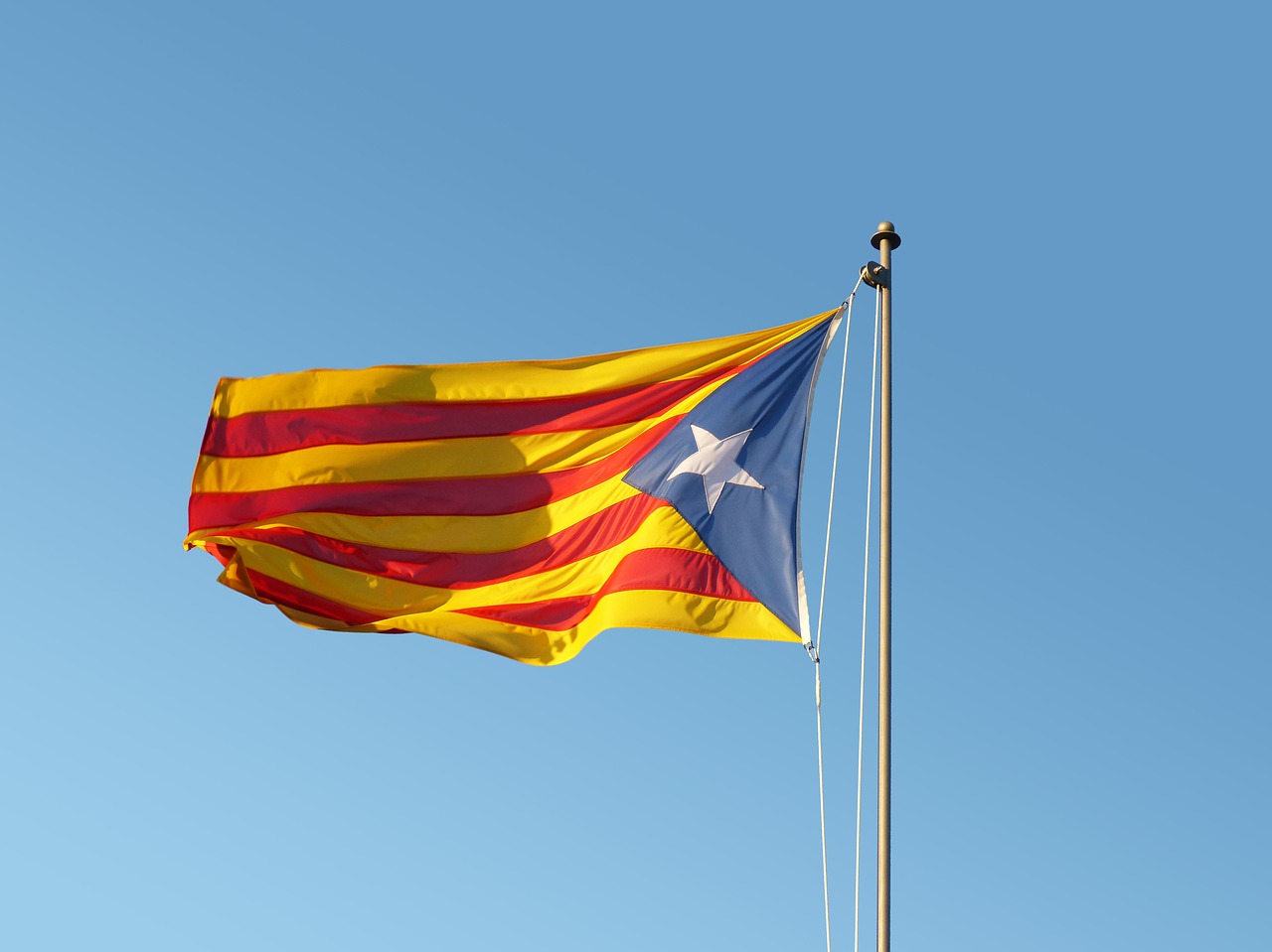 flag senyera catalan flag free photo