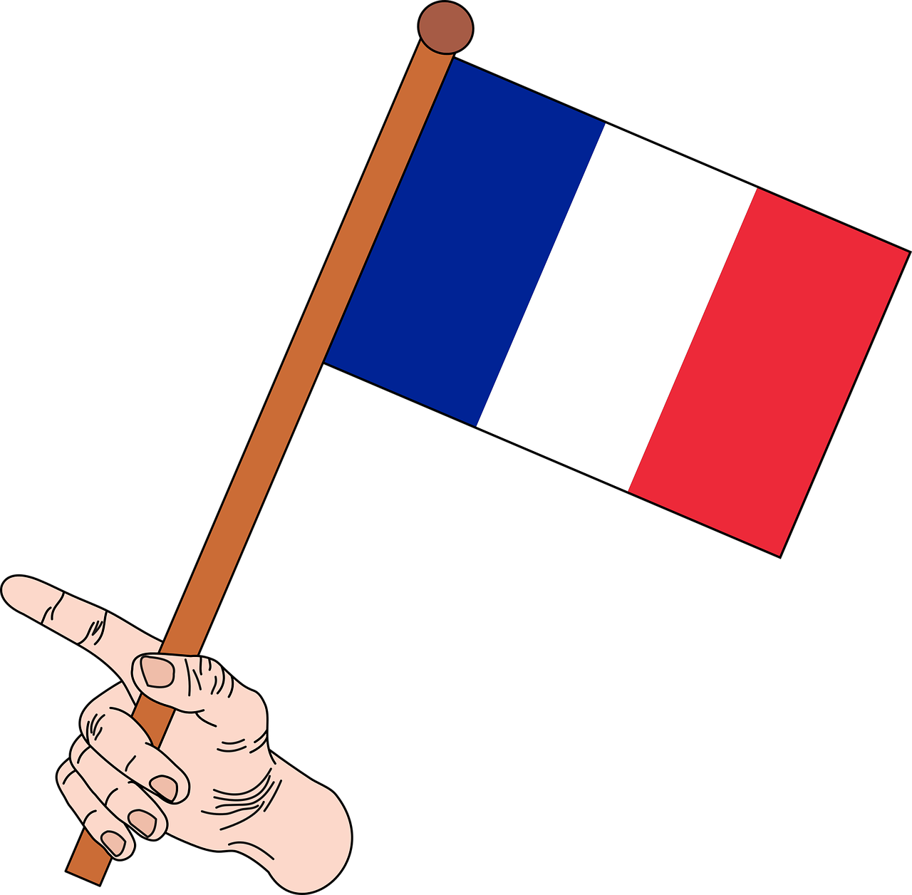 flag flag of france france free photo