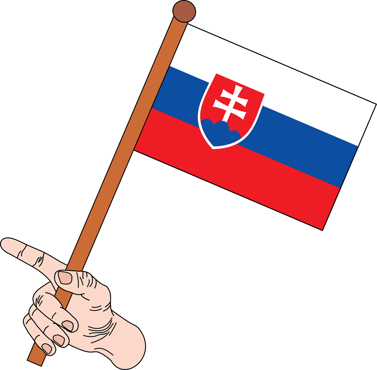 flag flag of slovakia slovakia free photo