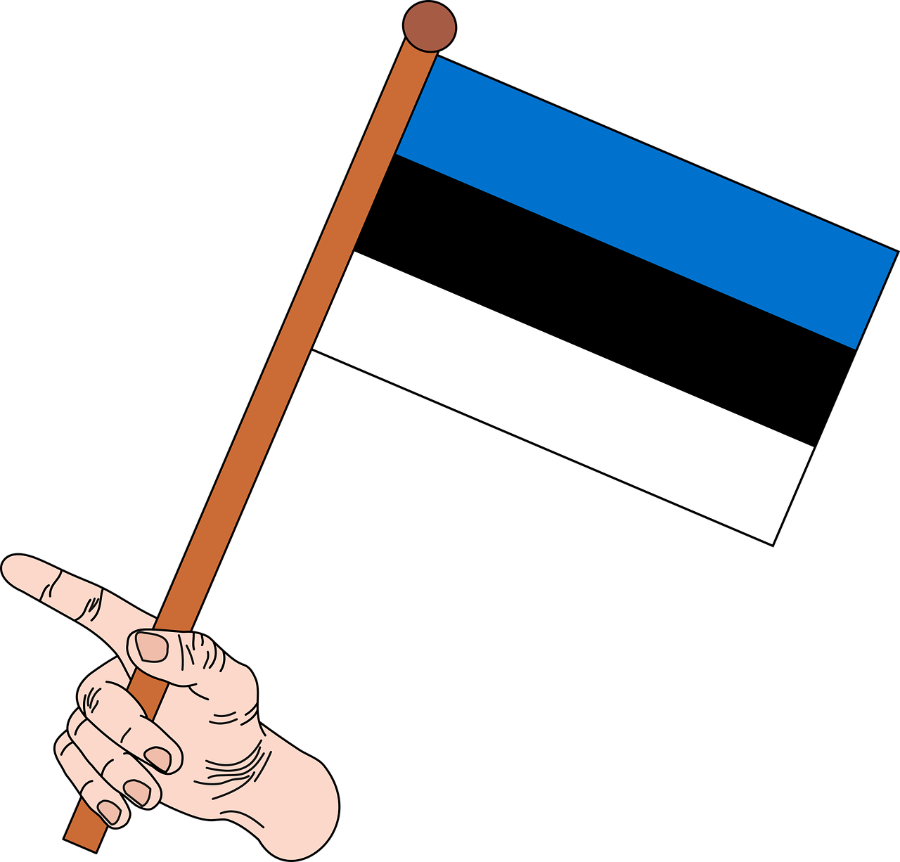 flag the flag of estonia estonia free photo