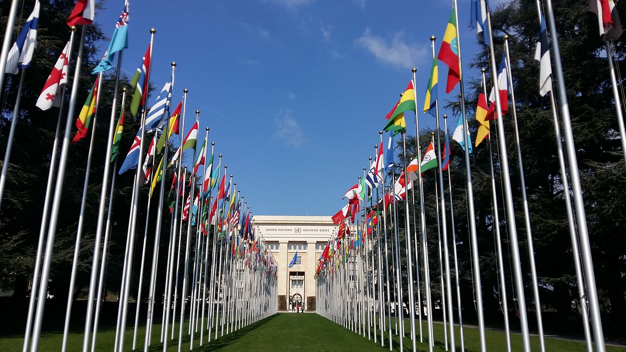 flag  geneva  un free photo