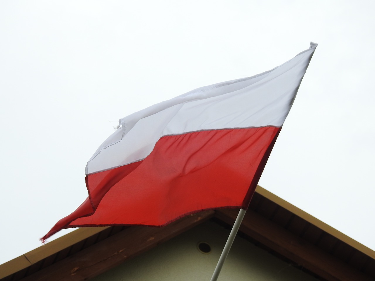 flag  at the court of  patriotism free photo