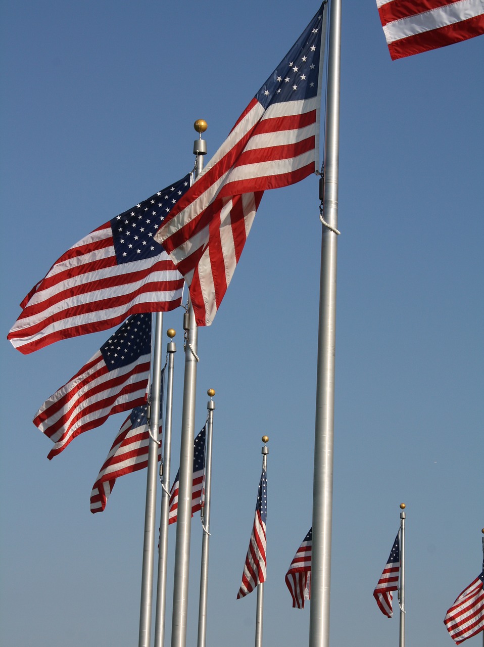 flag  american flag  stars and stripes free photo