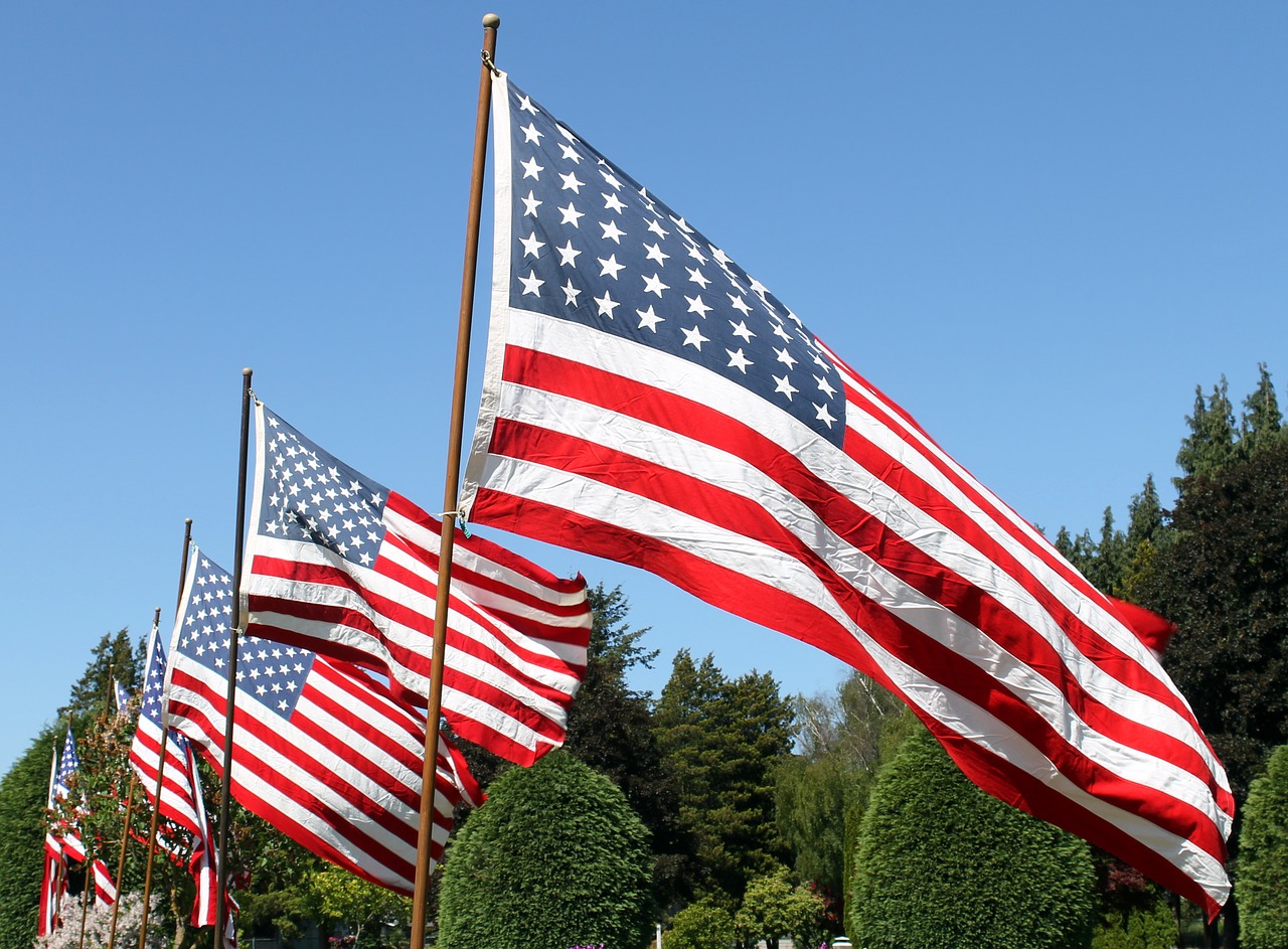 flag  memorial day  flags free photo