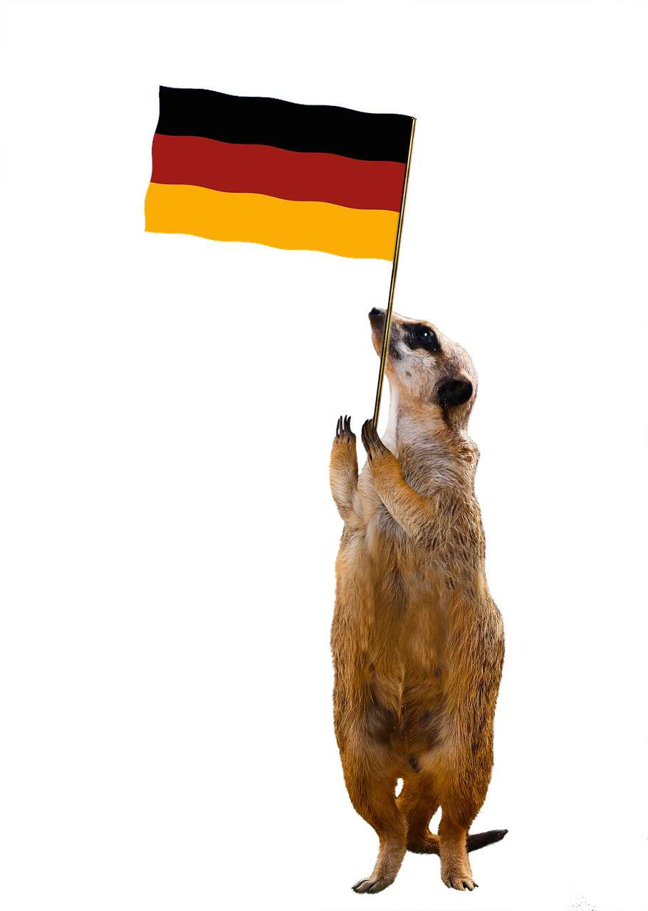 flag  germany  meerkat free photo
