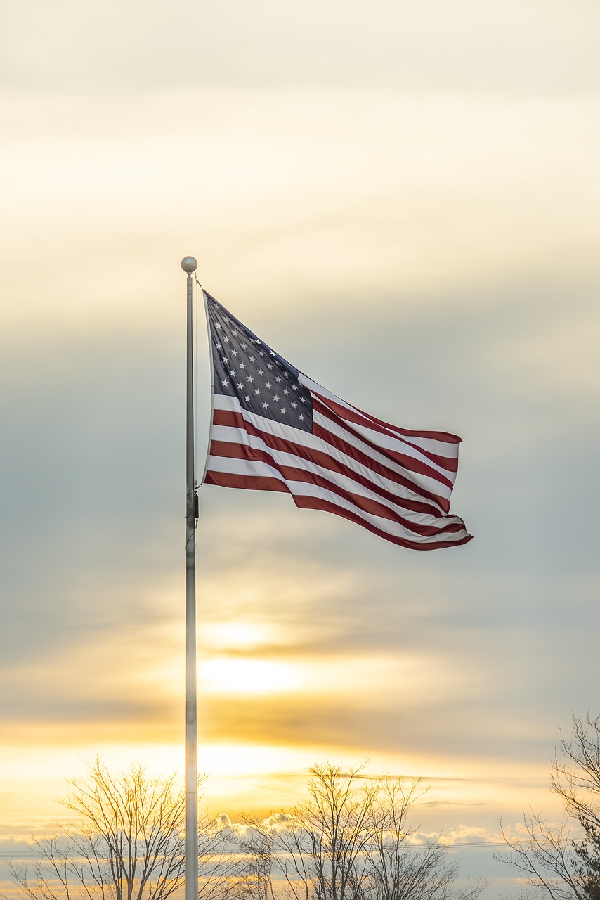 flag  usa  american free photo