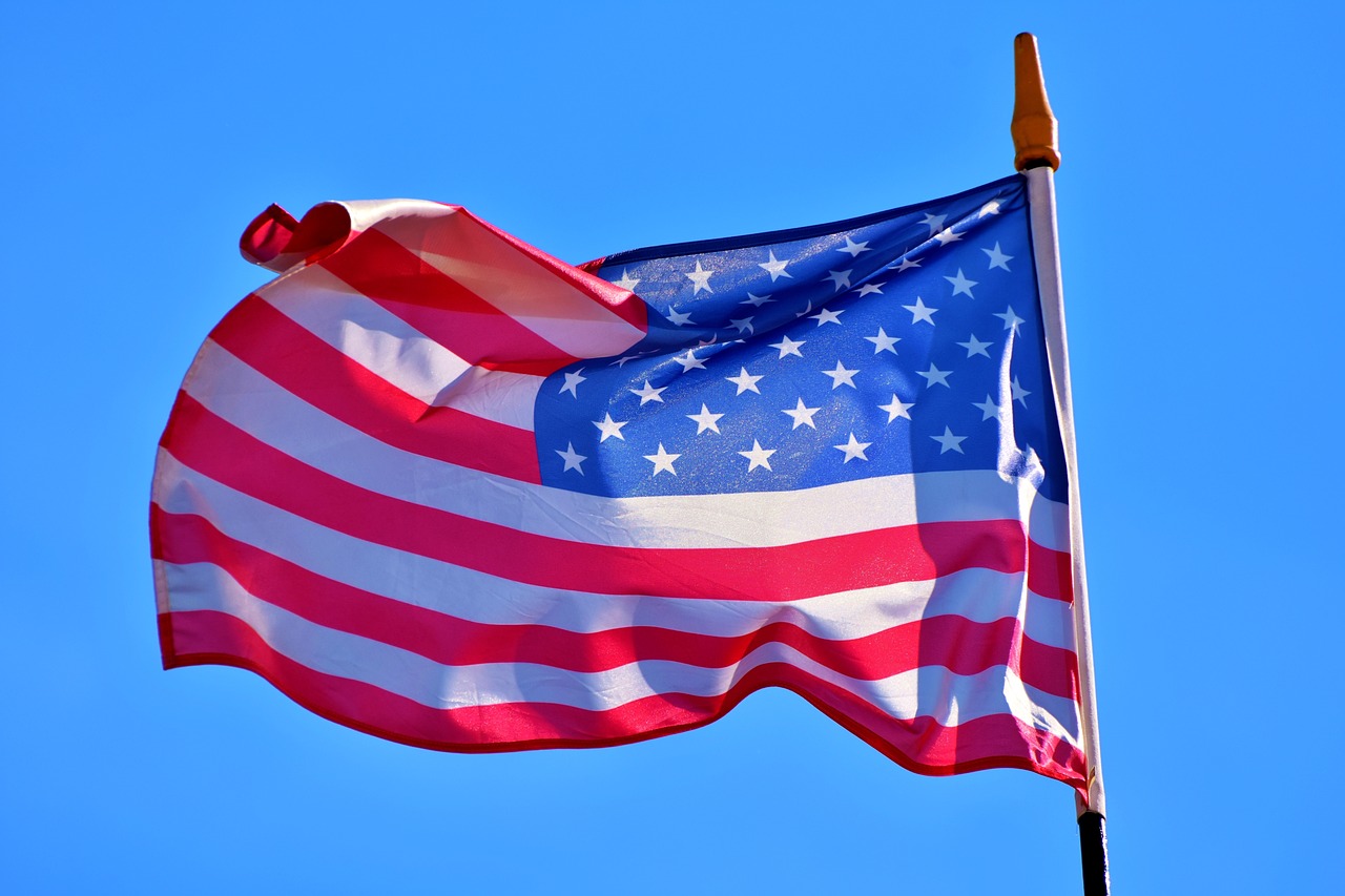 flag  american flag  usa flag free photo
