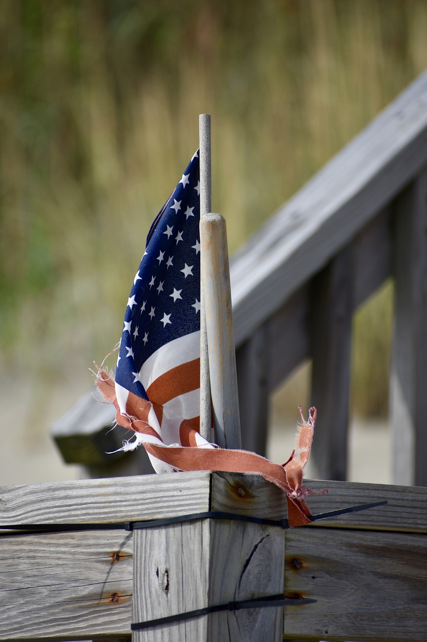 flag  beach  dune free photo