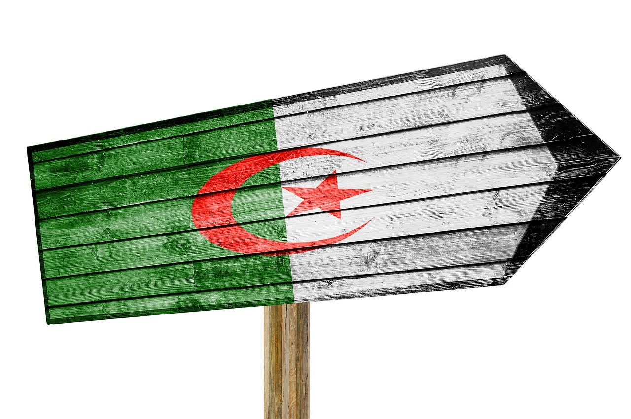 flag  algeria  sign free photo