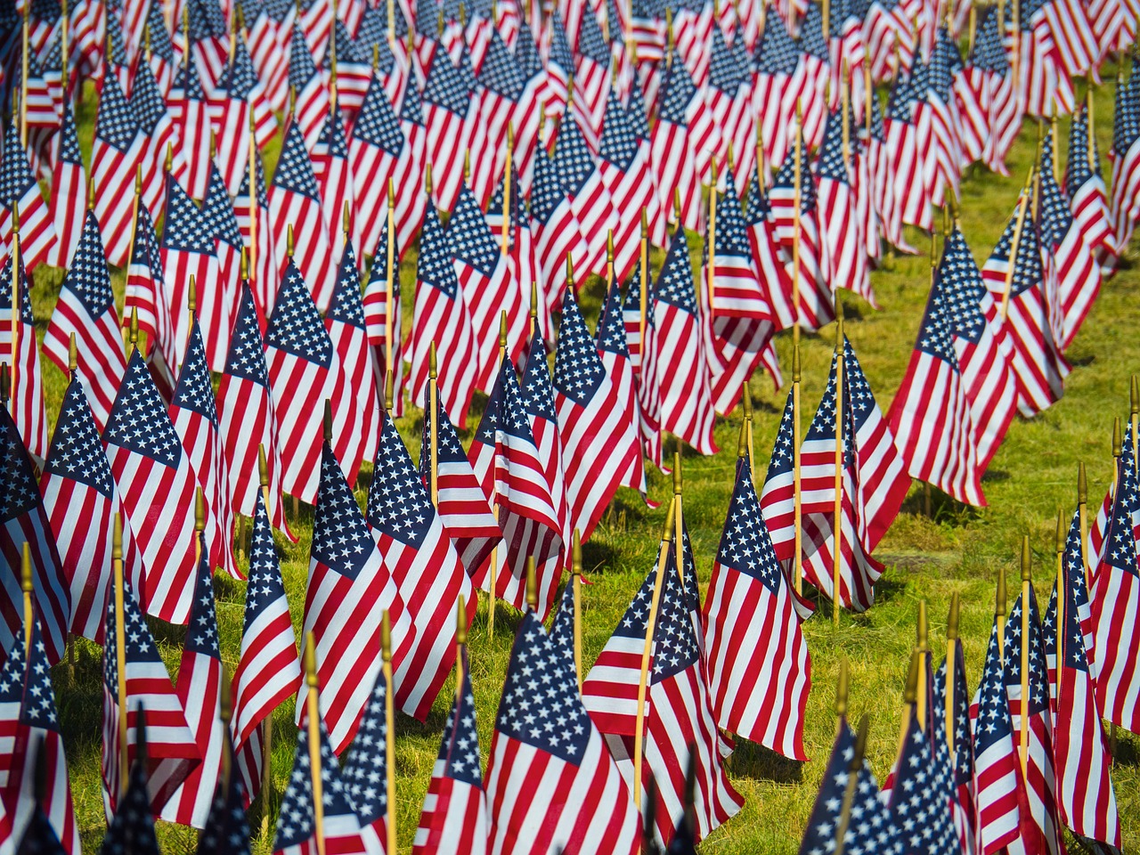 flag  usa  patriotic free photo