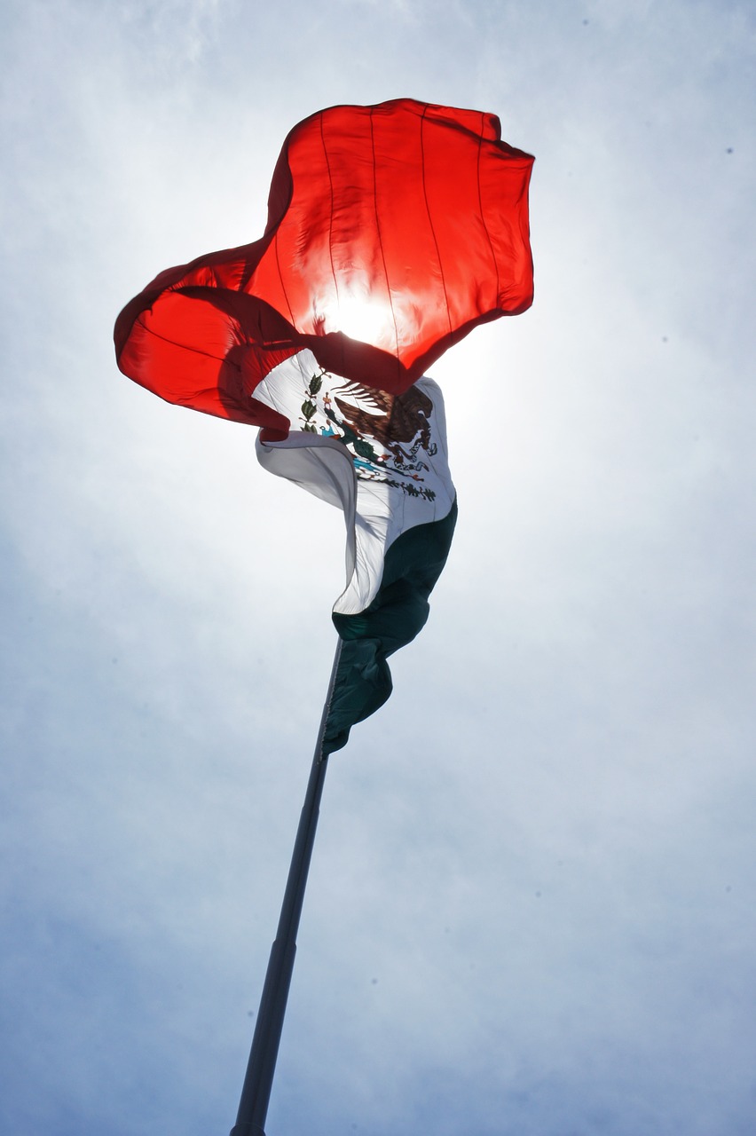 flag  mexico  nation free photo