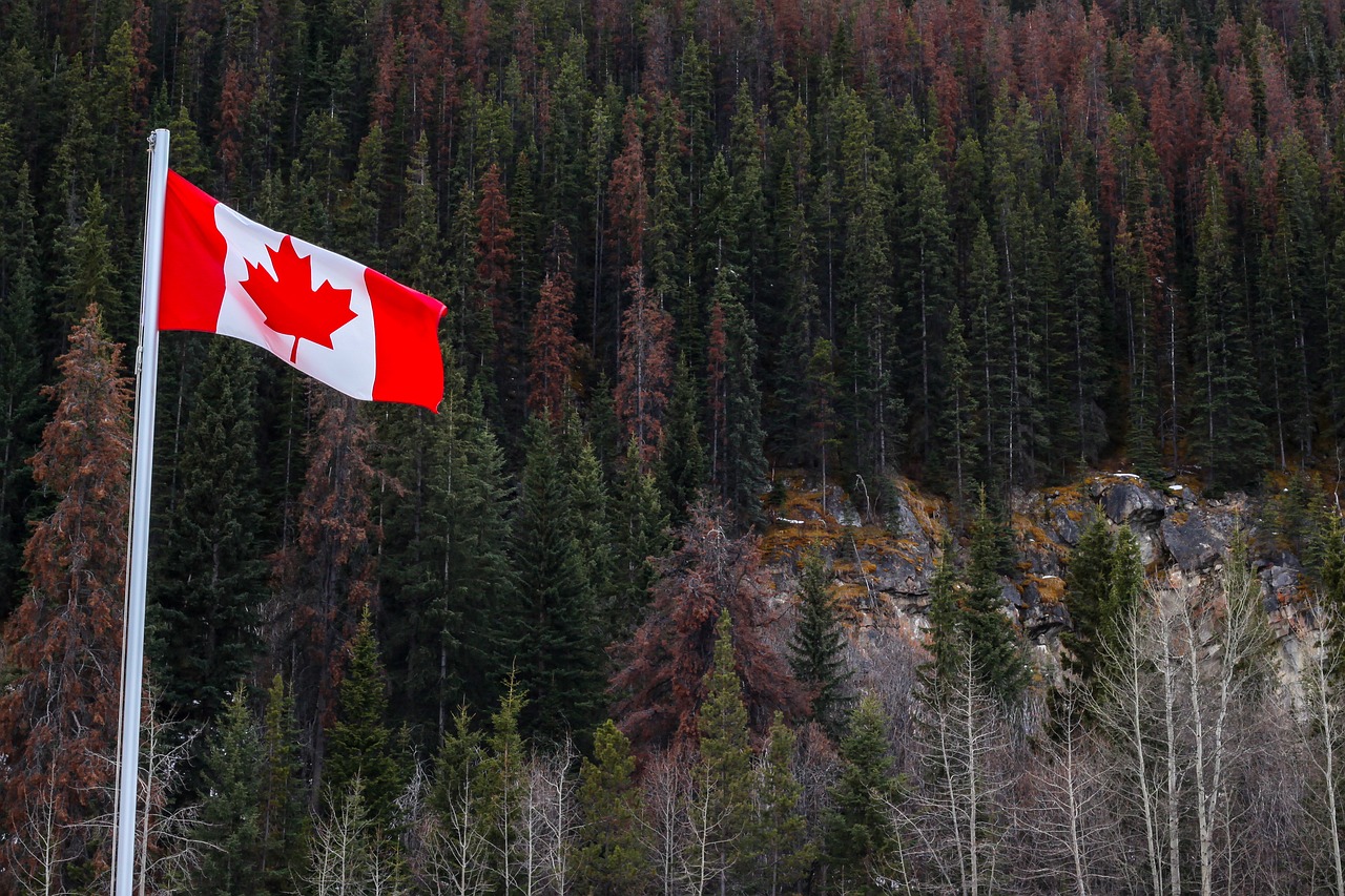 flag  forests  canada free photo