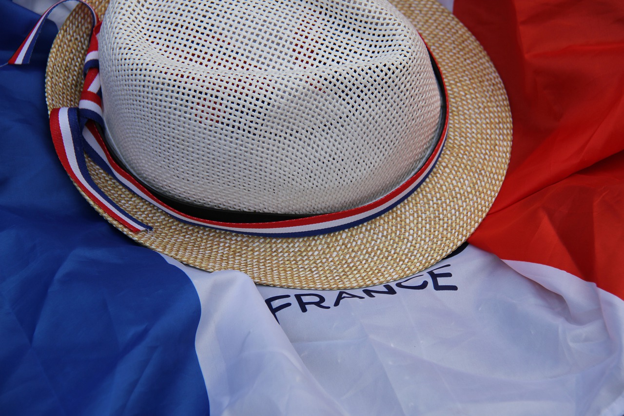 flag  france  women's world cup free photo