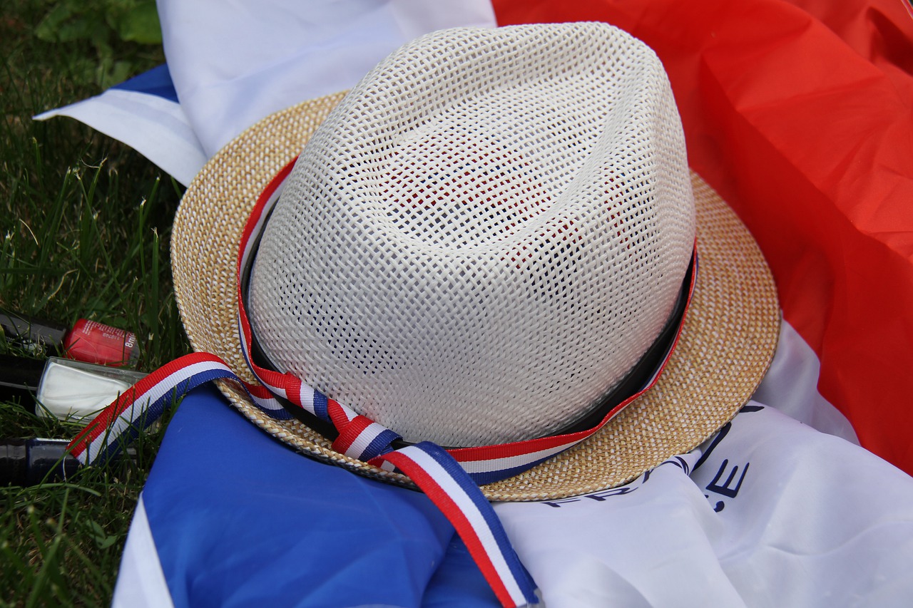 flag  france  women's world cup free photo