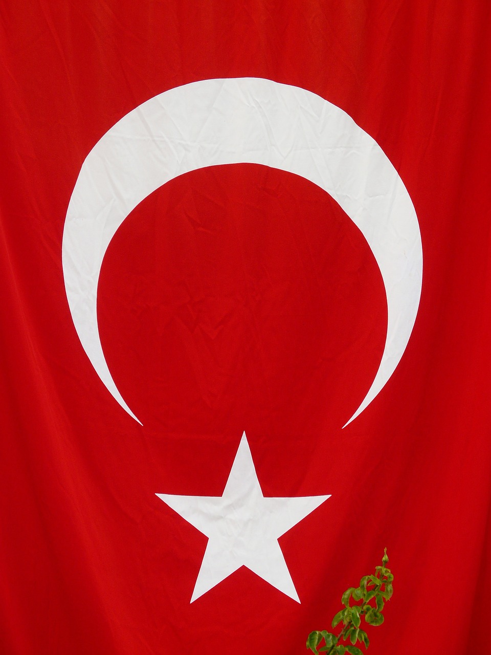 flag turkey crescent free photo